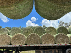 Hay Bales