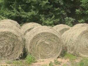 Hay bale