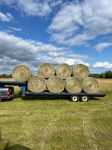 Hay bale